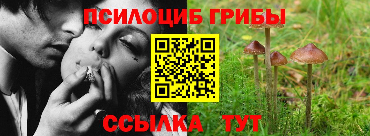 Сосновоборск  Галлюциногенные грибы Psilocybine cubensis  Псилоцибиновые грибы мицелий  Вход с VPN 