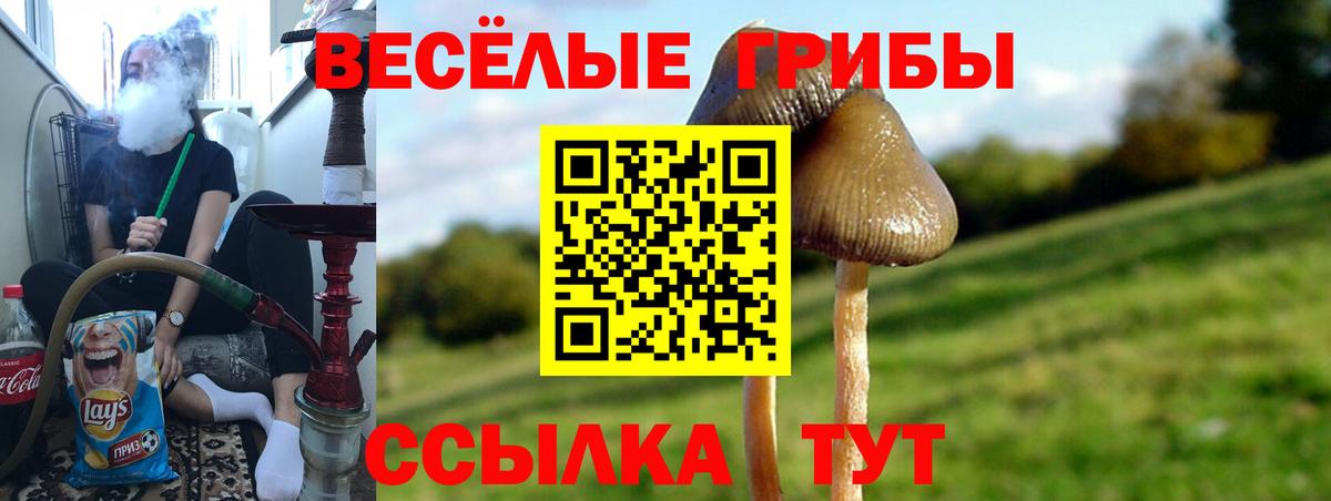 Псилоцибиновые грибы мухоморы Сосновоборск